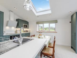 Maesyrhaf - Llanllwchaiarn - 2