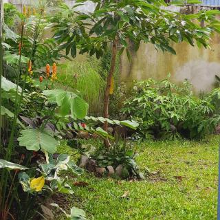 The garden suite - Alajuela - 2