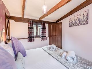 Swallow - Uk48172 - Colchester - 1