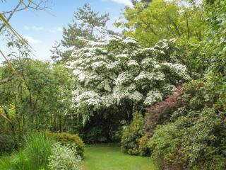 Garden Studio - St Austell - 9