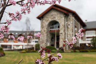 Hotel Termas Puyehue Wellness & Spa Resort - Puyehue - 4