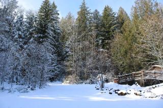 The Cottage at Highland Farms - Brightwood - 1