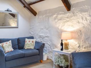 Scrumpy Cottage - Bodmin - 8