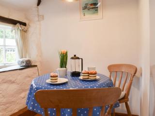 Scrumpy Cottage - Bodmin - 4