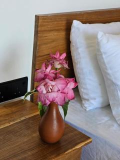 Muthu Sea View Hiriketiya - 6