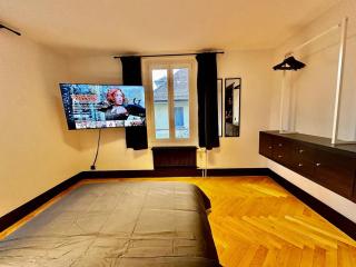 Cosy apartment in Lausanne - 4