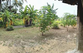 Kuantan SnakeRiver Homestay - Kampung Sungai Ular - 1