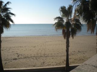 Piscina Mar 1 - Sant Carles de la Ràpita - 7