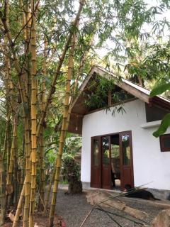 Jungle Lodge - Bona Vista - 5