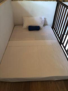 Jungle Lodge - 9