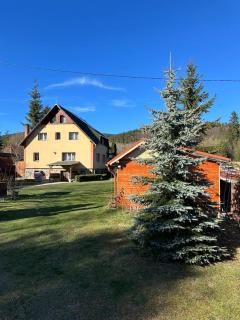 Casa Moldovan - Izvoru Mureşului - 5