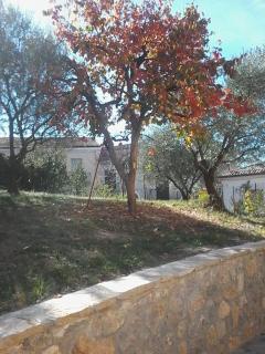 B&B Villa Rosina - Satriano di Lucania - 5