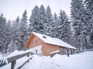 Landal Bad Kleinkirchheim - 7