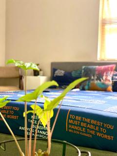 SummerPlace Guest Rooms - Modimolle - 4