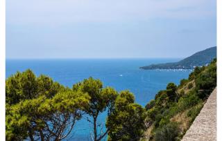 Pet Friendly Home In Montecorice - Montecorice - 4