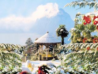 Barony Agave - Lugano - 9