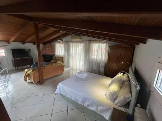 Attic with a view - Péfka - 2