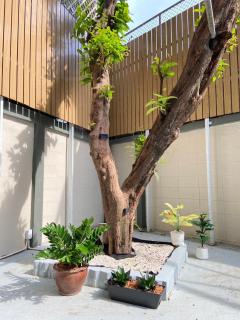 3 Brothers House Ekkamai - 6