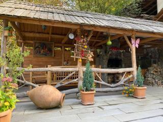 Anano's House - Borjomi - 0