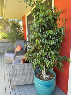 Milton Village Retreat - secluded comfort - Milton - 2