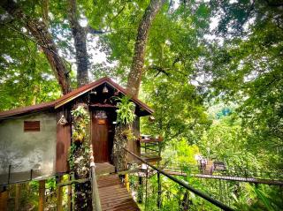 บ้านต้นไม้แม่กำปอง Baan TONMAI MAEKAMPONG - Chiang Mai - 8