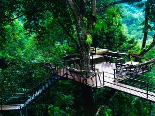 บ้านต้นไม้แม่กำปอง Baan TONMAI MAEKAMPONG - Chiang Mai - 7