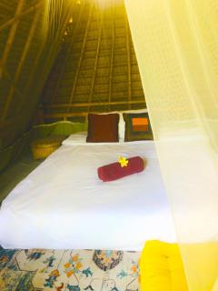 Eco Bamboo Jungle - 9