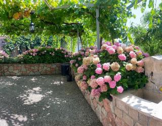 Mali apartman - Podličak - 6