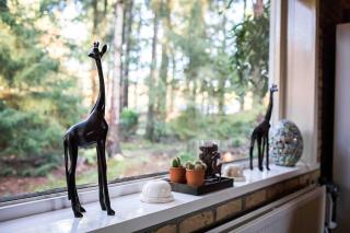 Paulus aan de bos met hot tub - 5