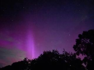 Wattle Creek Studio with Breakfast Basket - 3