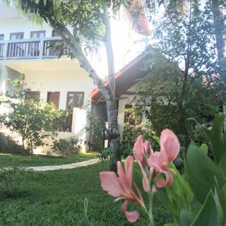 Secret Bay Hotel - Delgalla - 4