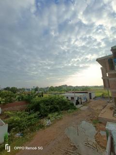 The green house - 9