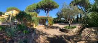 Sous les pins parasols - 9