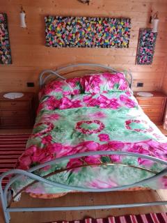 Cabana Picior de munte - 7