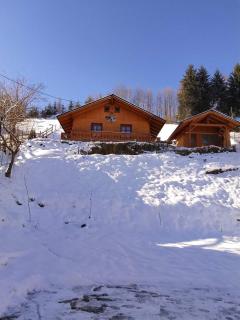 Cabana Picior de munte - 3