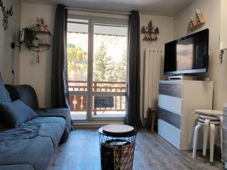 Studio 2 alpes, pied de piste, ménage inclus, balcon, parking - 2