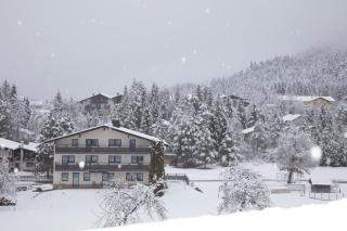 Natura Aparts - Stanzach - 1