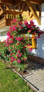 Ferienwohnung Maria - Langdorf im Landkreis Regen - 5