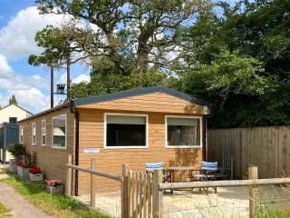 Langston Farm Chalet - Shillingstone - 9