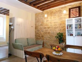 IMPECCABLE & TYPICAL STUDIO in THE MARAIS - Paris - 8