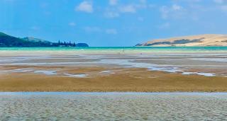 'Noni's House' Coastal Opononi Hokianga - 2