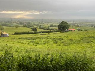 Foxhall Farm - Thirsk - 5