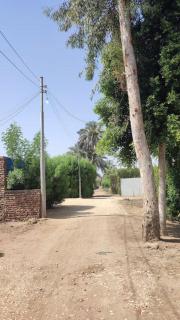 Ecolodge El Beit - Luxor - 2