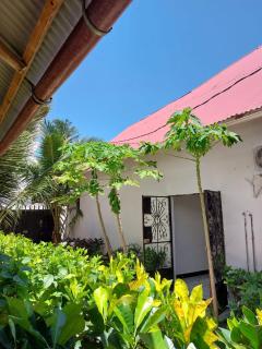 Nungwi beach house l - 6