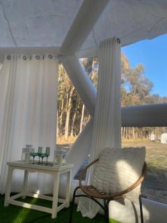 Coonawarra Hampton Bubble 4 - Comaum - 5