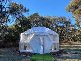 Coonawarra Hampton Bubble 4 - Comaum - 9