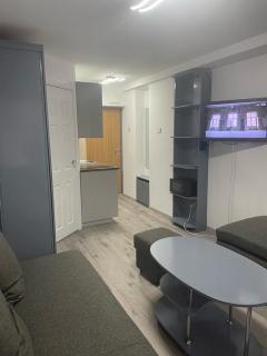Studio Butas prie Reabilitacijos ligoninės - Palanga - 8