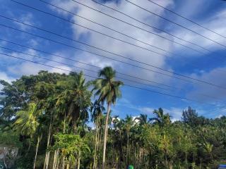 Hilton Garden Homestay - Port Blair - 2