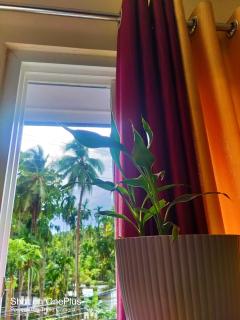 Hilton Garden Homestay - Port Blair - 1