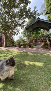 PHOENIX Homestay - Kalimpong - 9